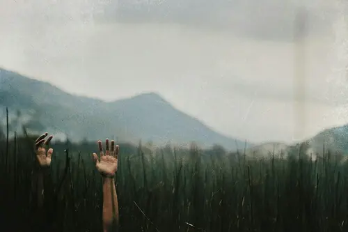 Solo