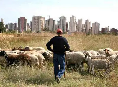 moda
