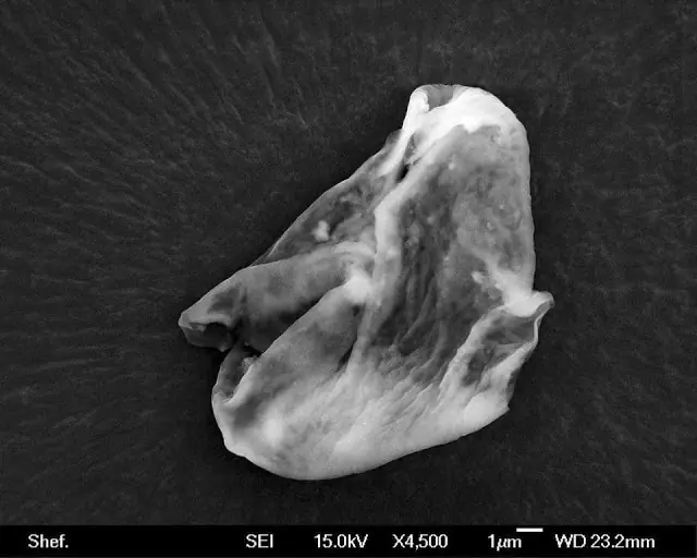 existen los extraterrestres y te