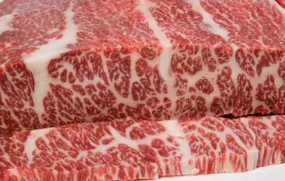 Las 10 comidas más lujosas y caras del mundo Las 10 comidas más lujosas y caras del mundo