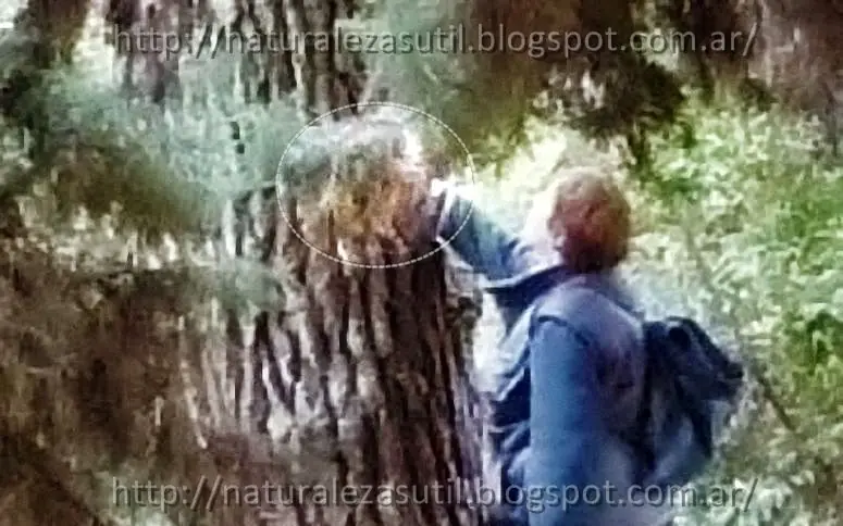 Bálsamo hacia la eternidad