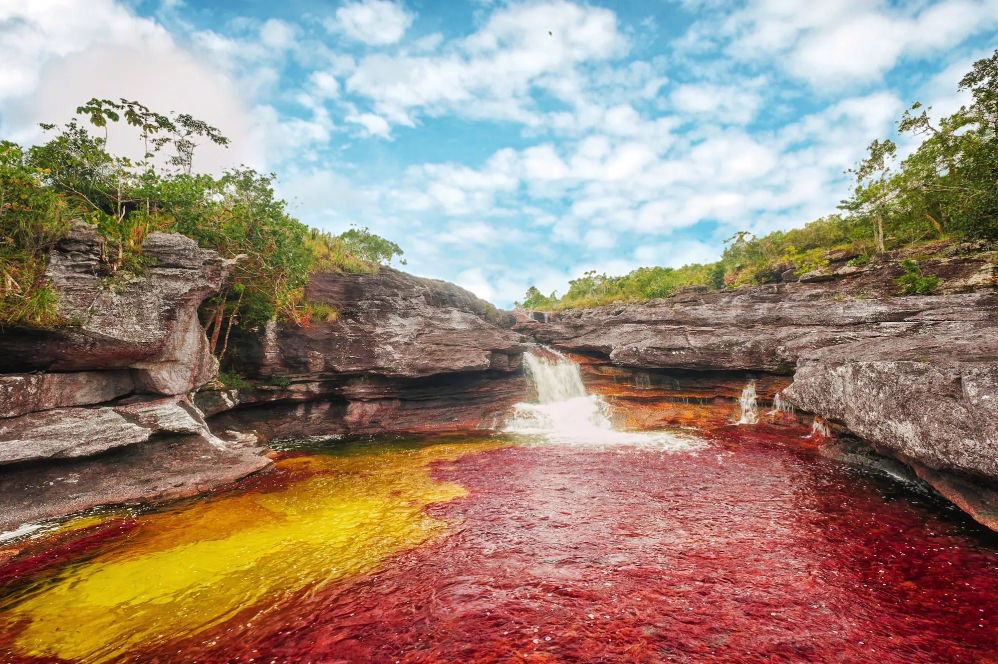 cano cristales cano cristales