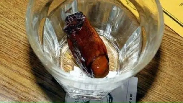 Historias de la Deep web: "paletas heladas"