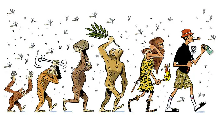 teoria de la evolucion