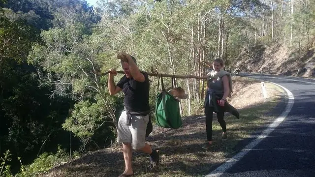 Perrita perdida no podía caminar estaba a punto de ahogarse