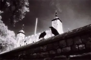 paranormal paranormal