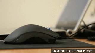 Gifs