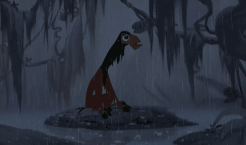 muchos gif