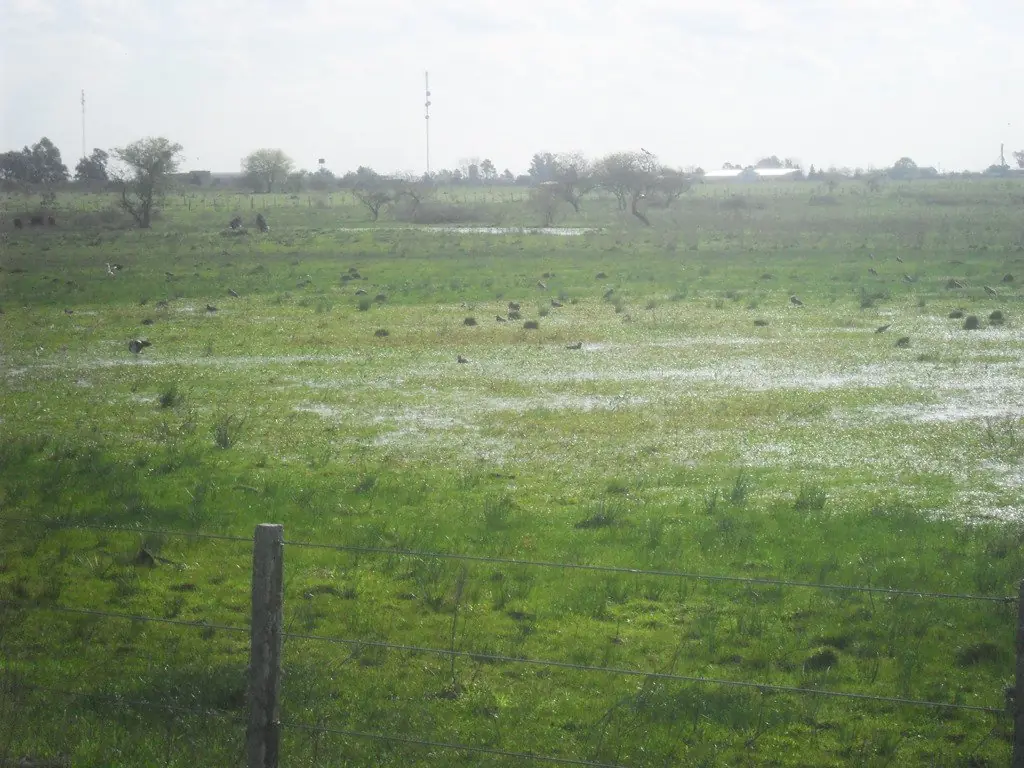 aire libre aire libre