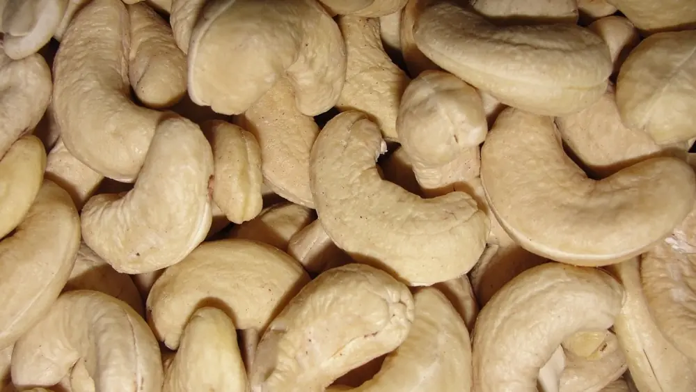 verduras