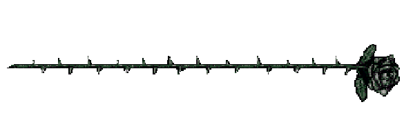 Cautiva (Escrito Propio)