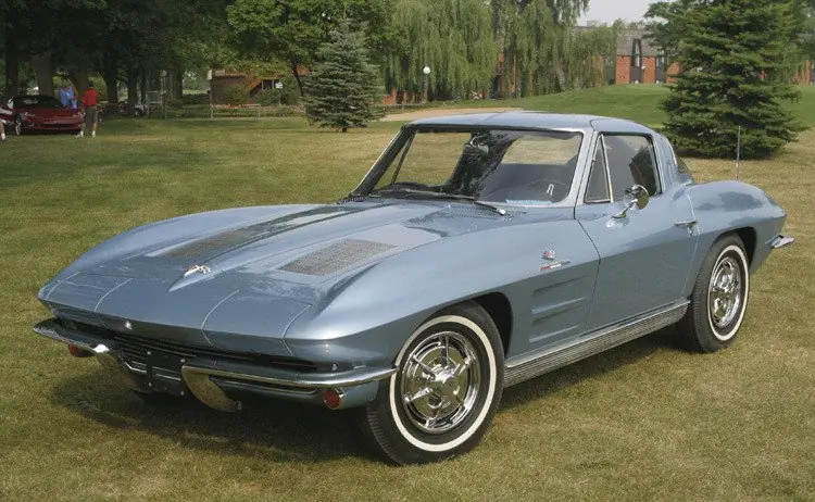 stingray