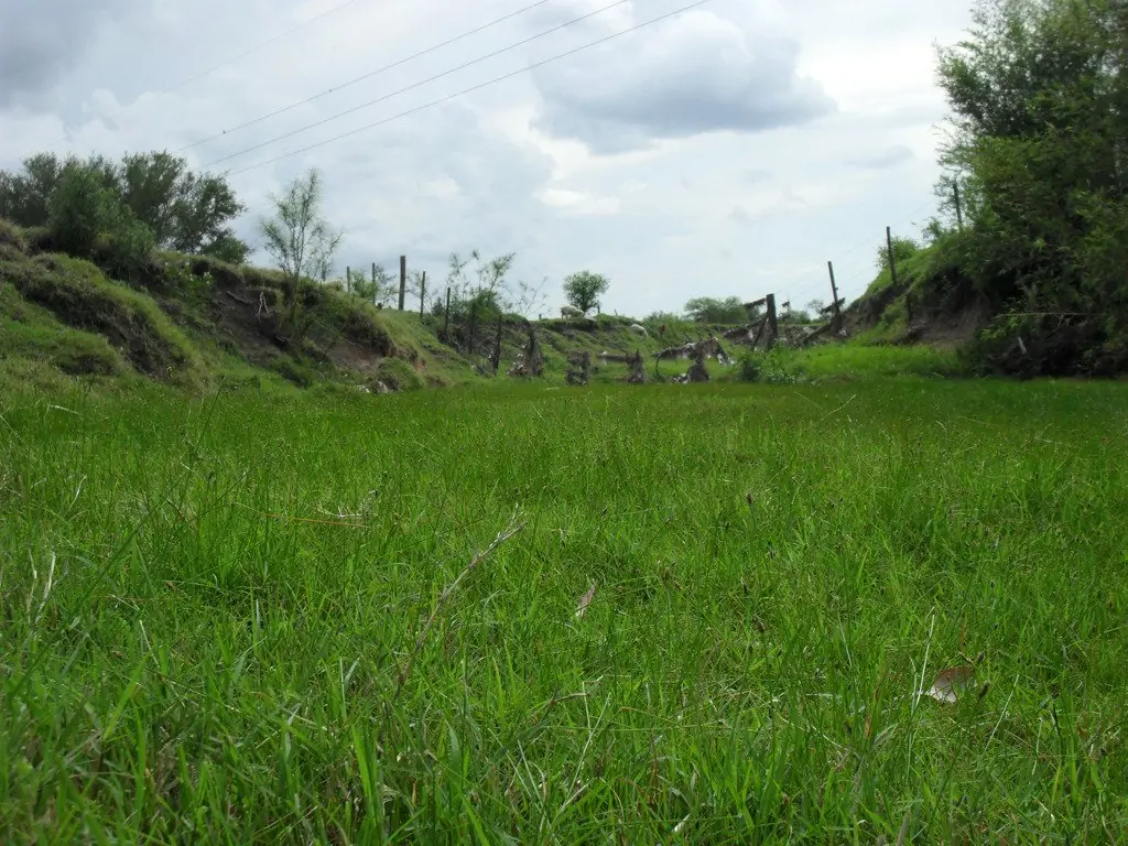 naturaleza naturaleza