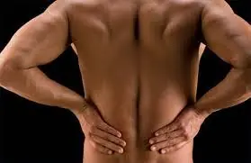 musculacion