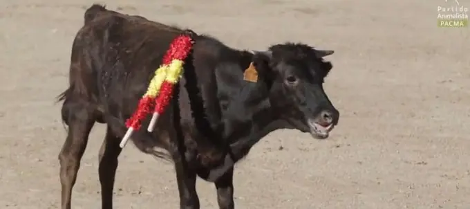 espana