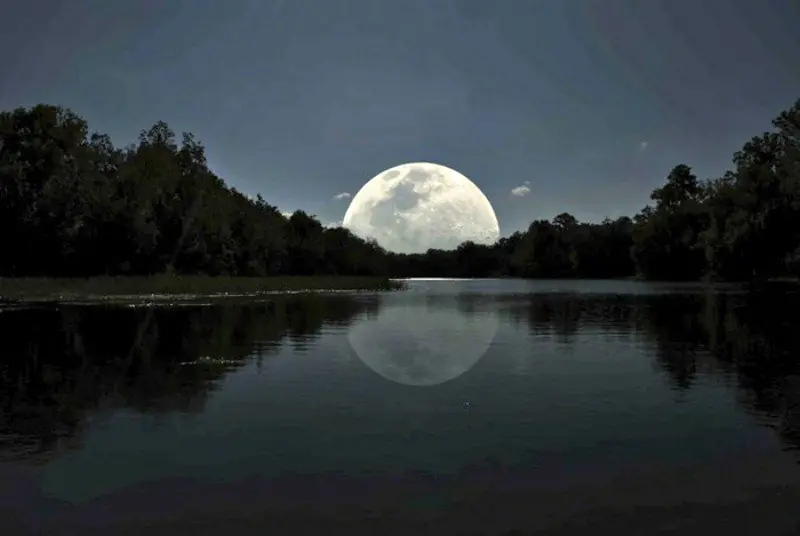 lunas