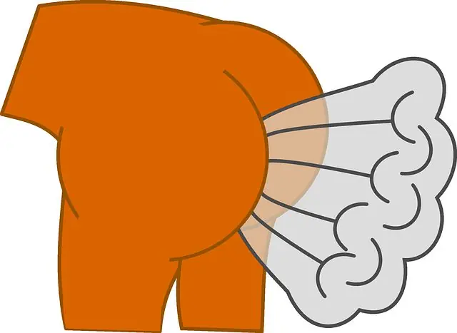 El olor de una flatulencia puede prevenir cáncer