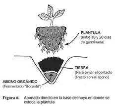 agricultura organica