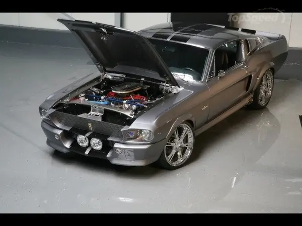 Muscle Cars