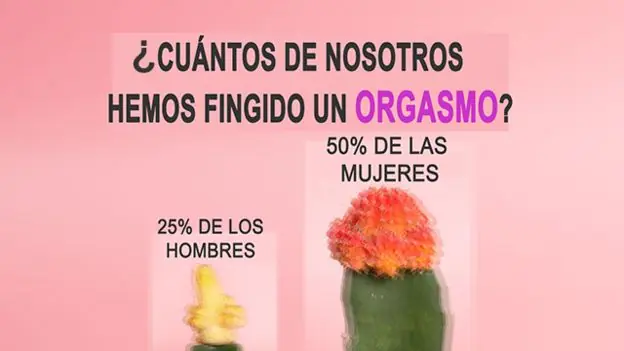 Sexo