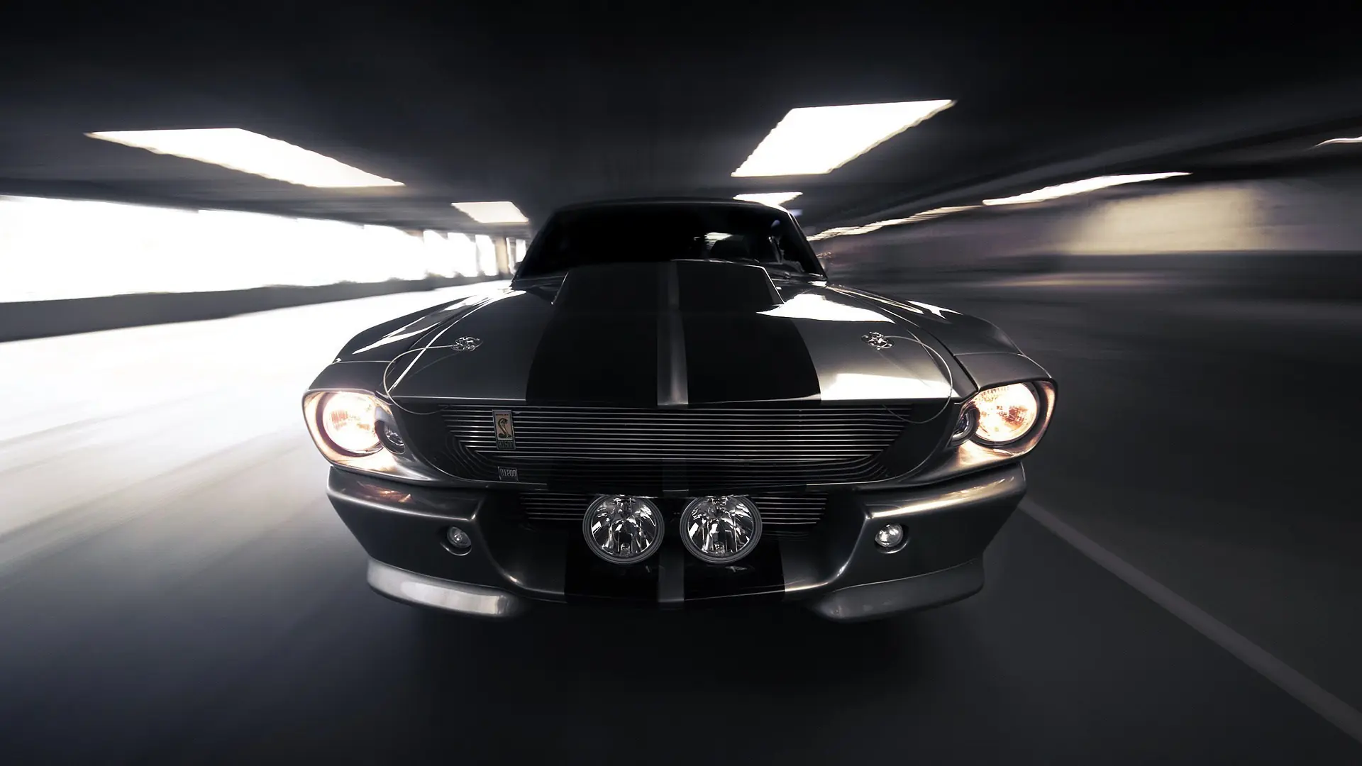 mustang