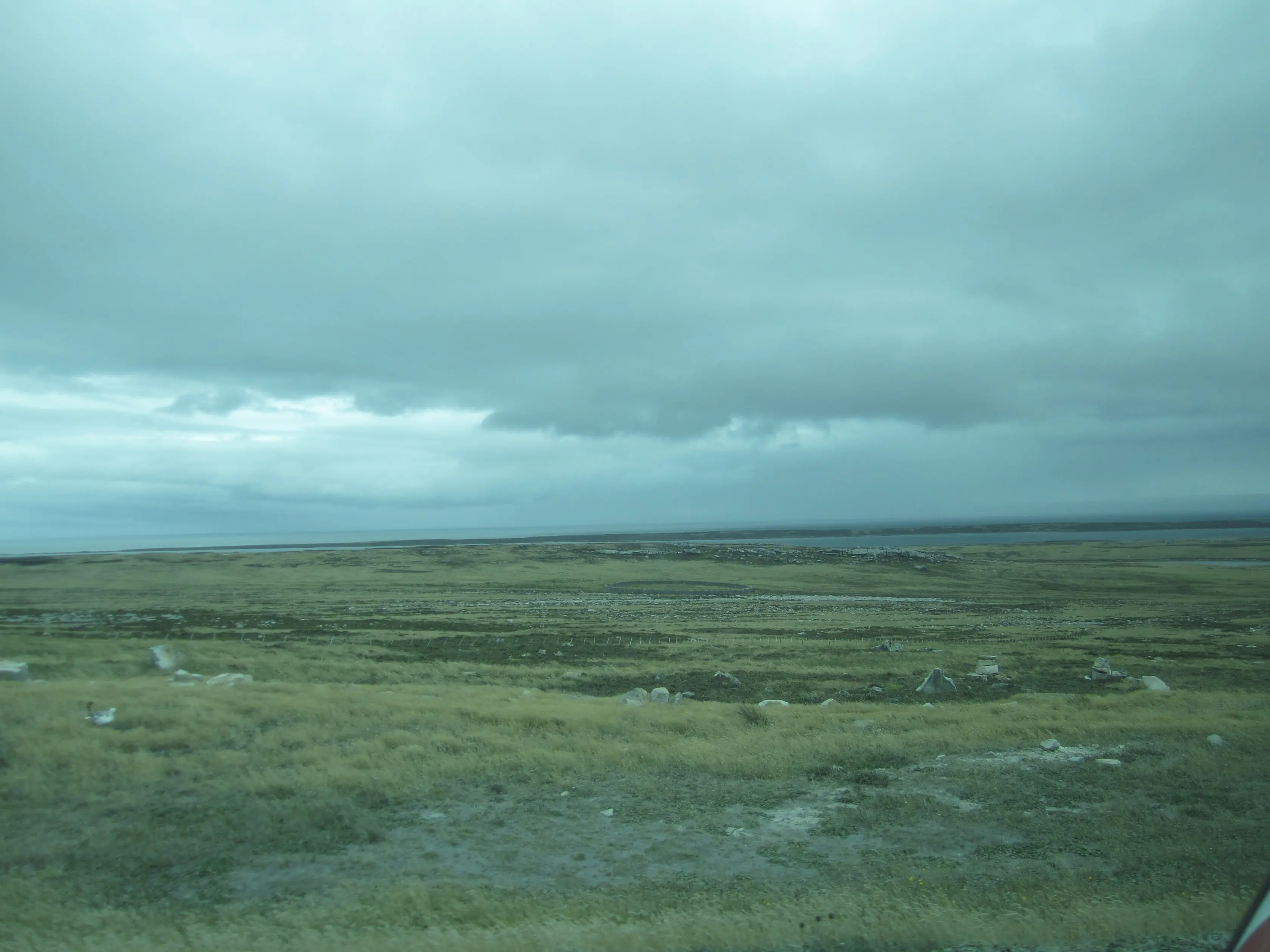 Malvinas fines Marzo 2016. Fotos ciudad y campos de batalla.