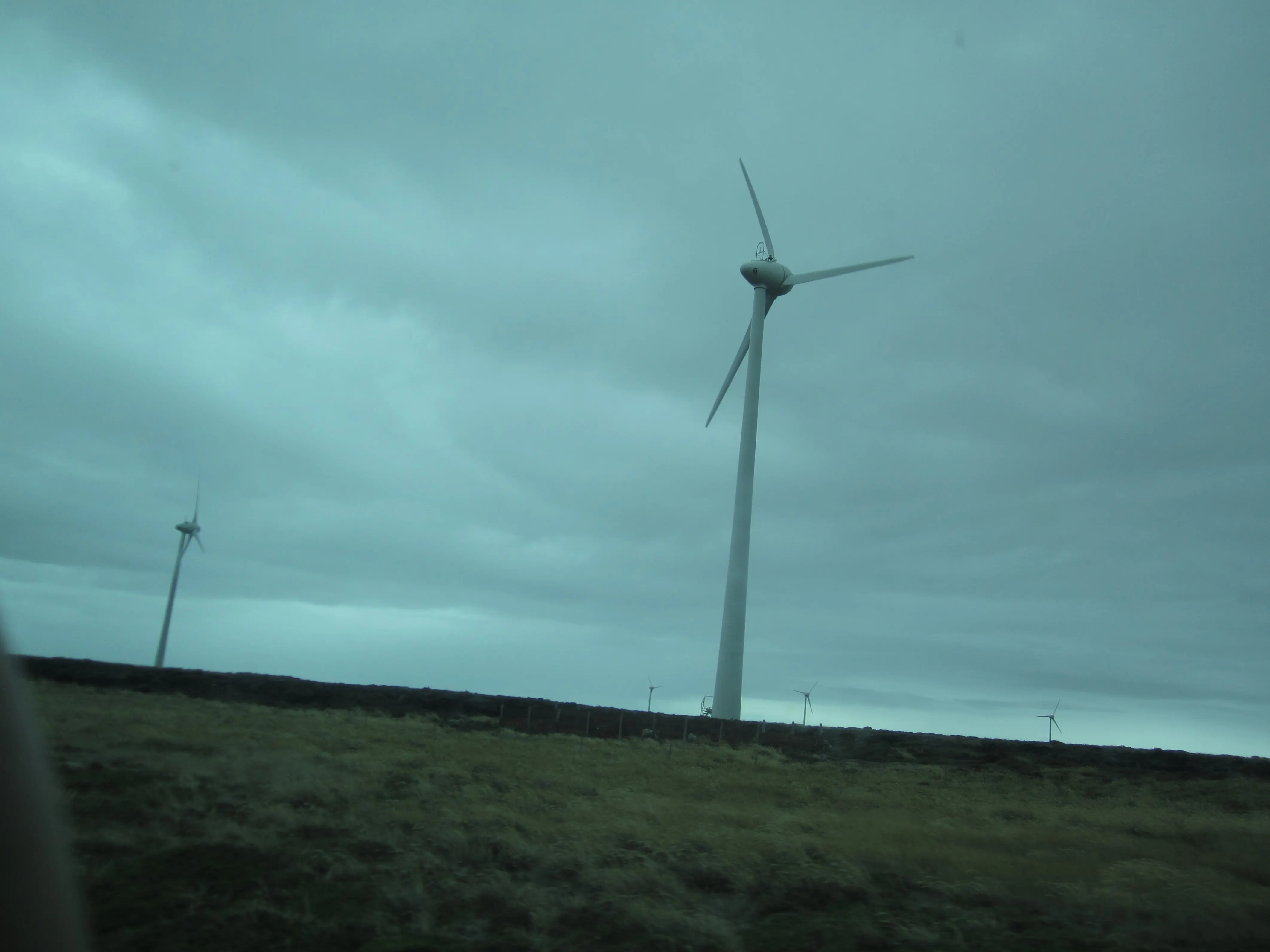 falkland islands
