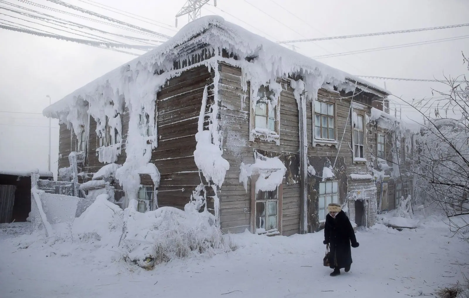 nieve