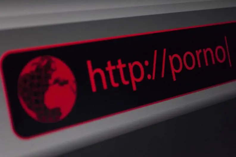 7 datos realmente curiosos sobre la pornografía
