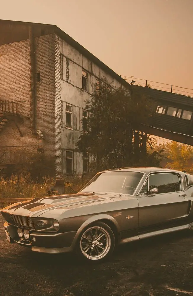 mustang