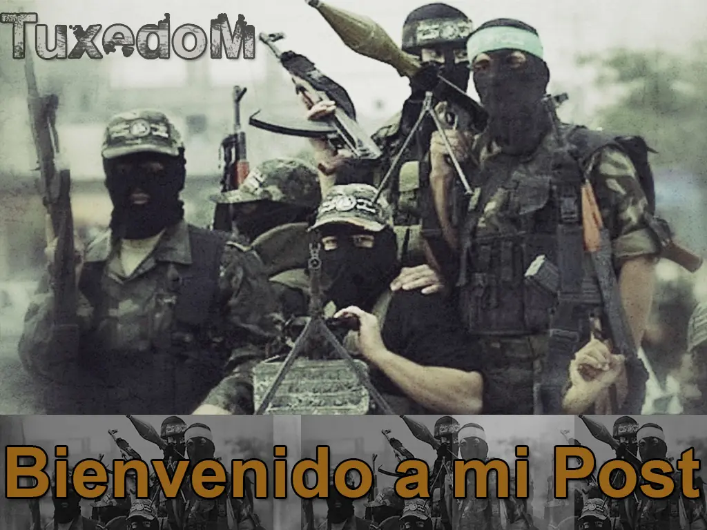 Aguante el Estado Islamico Vieja, no me importa nada!