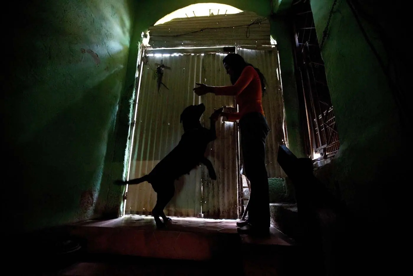 Venezolanos deben elegir comer o darle comida a sus mascotas