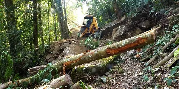 La ONU reconoce al narcotráfico como amenaza ecológica
