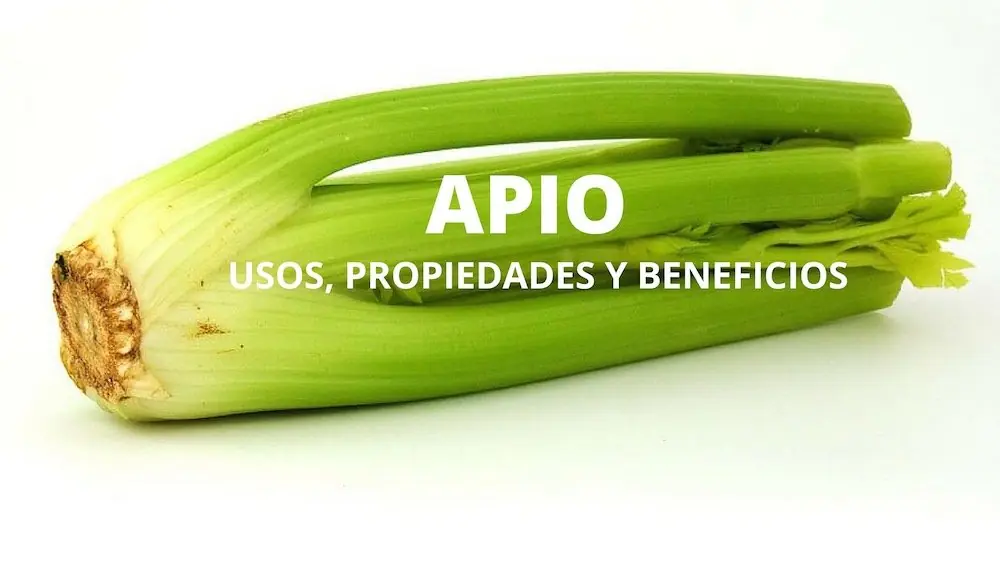Superalimentos, la nueva apuesta para una vida más sana.
