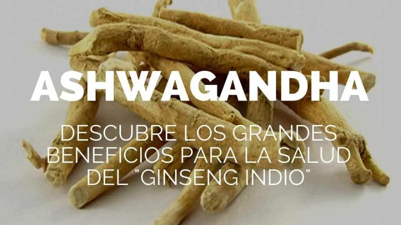 nueva
