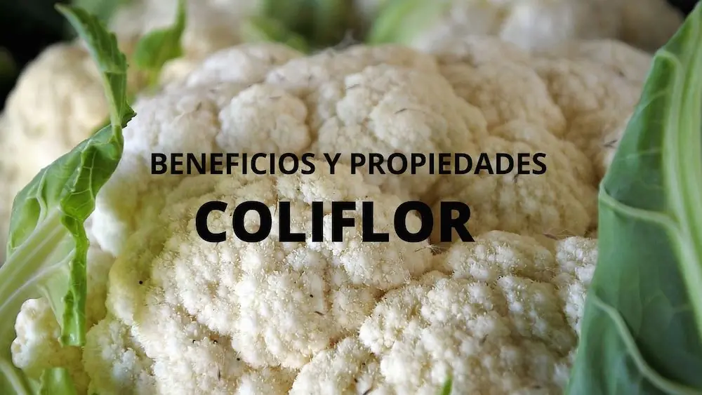 superalimentos
