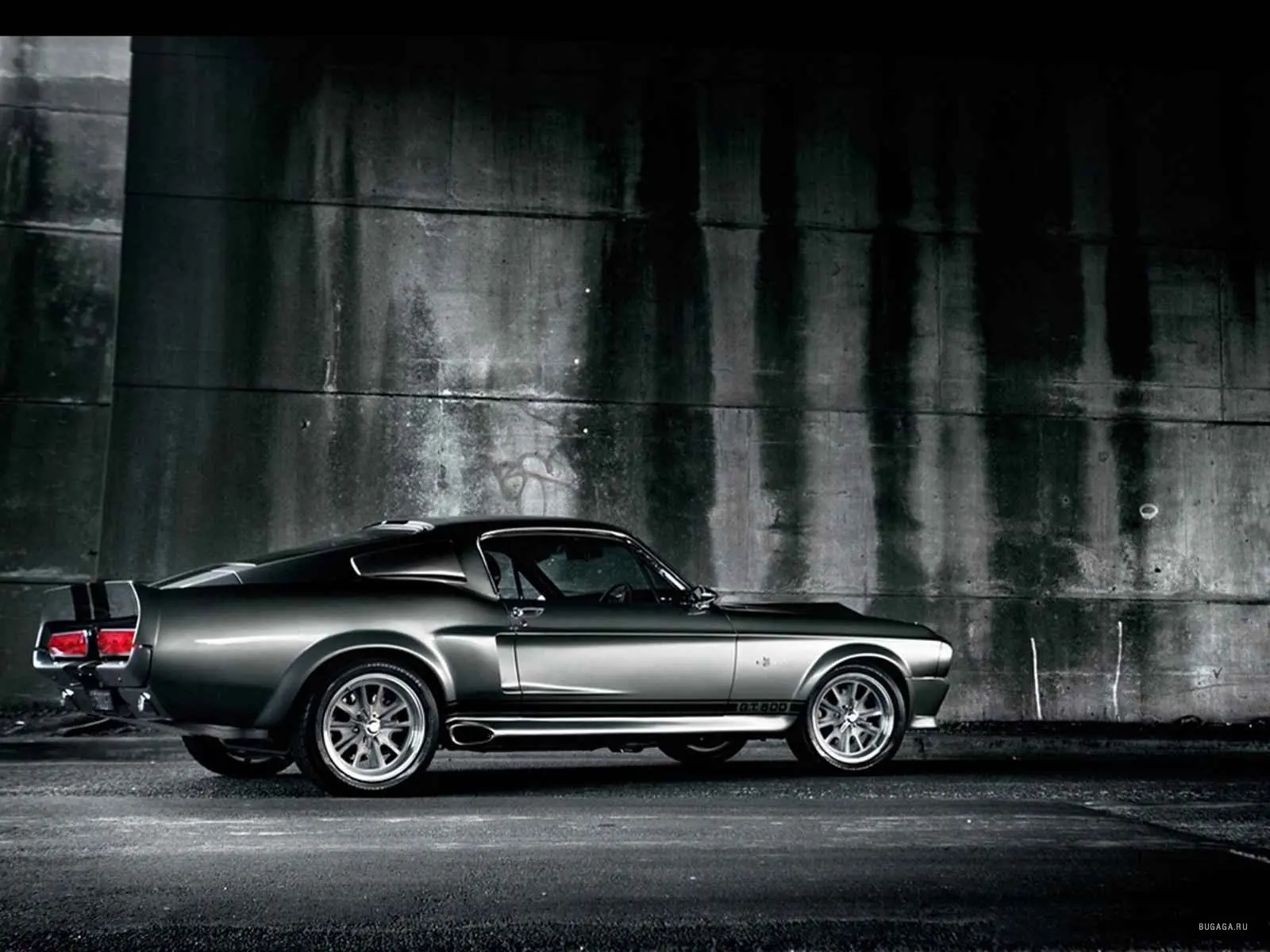 mustang