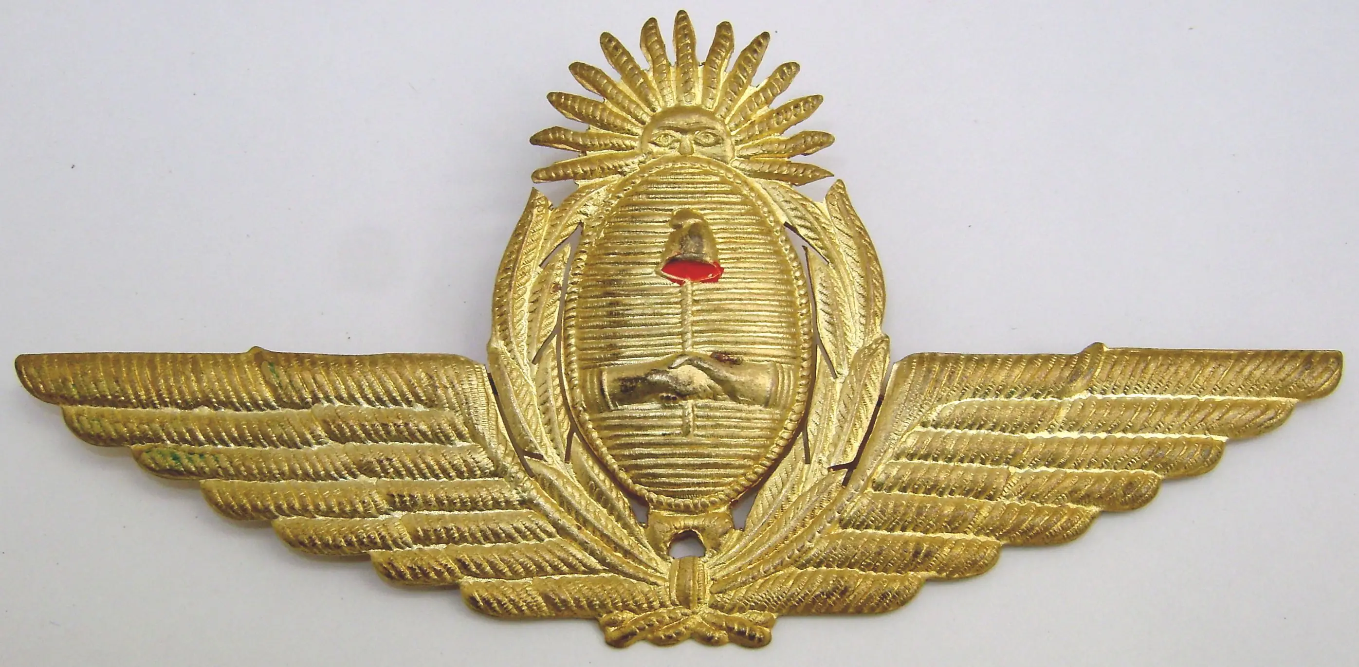 Fuerza Aerea Argentina