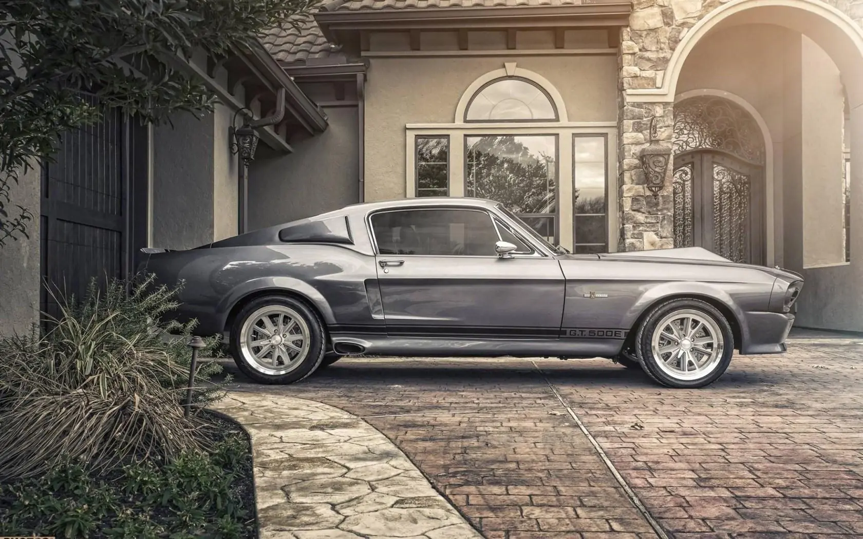 shelby