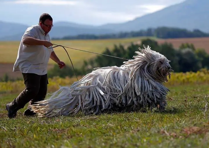 14 Fotos raras e interesantes del mundo en el que vivimos