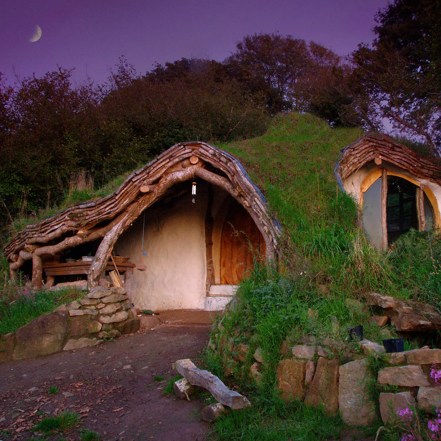 Construite tu casa vos mismo lince!