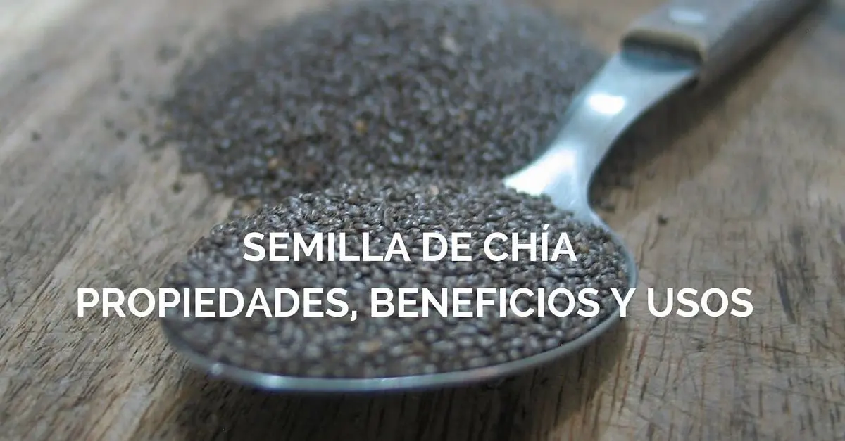 Superalimentos, la nueva apuesta para una vida más sana.