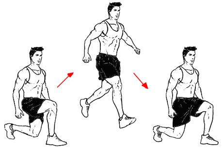musculos musculos