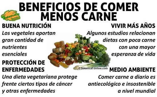 vegano dieta