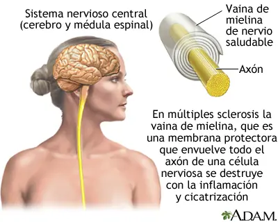 salud salud