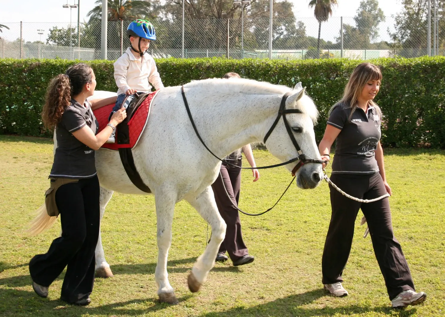 terapia con caballos
