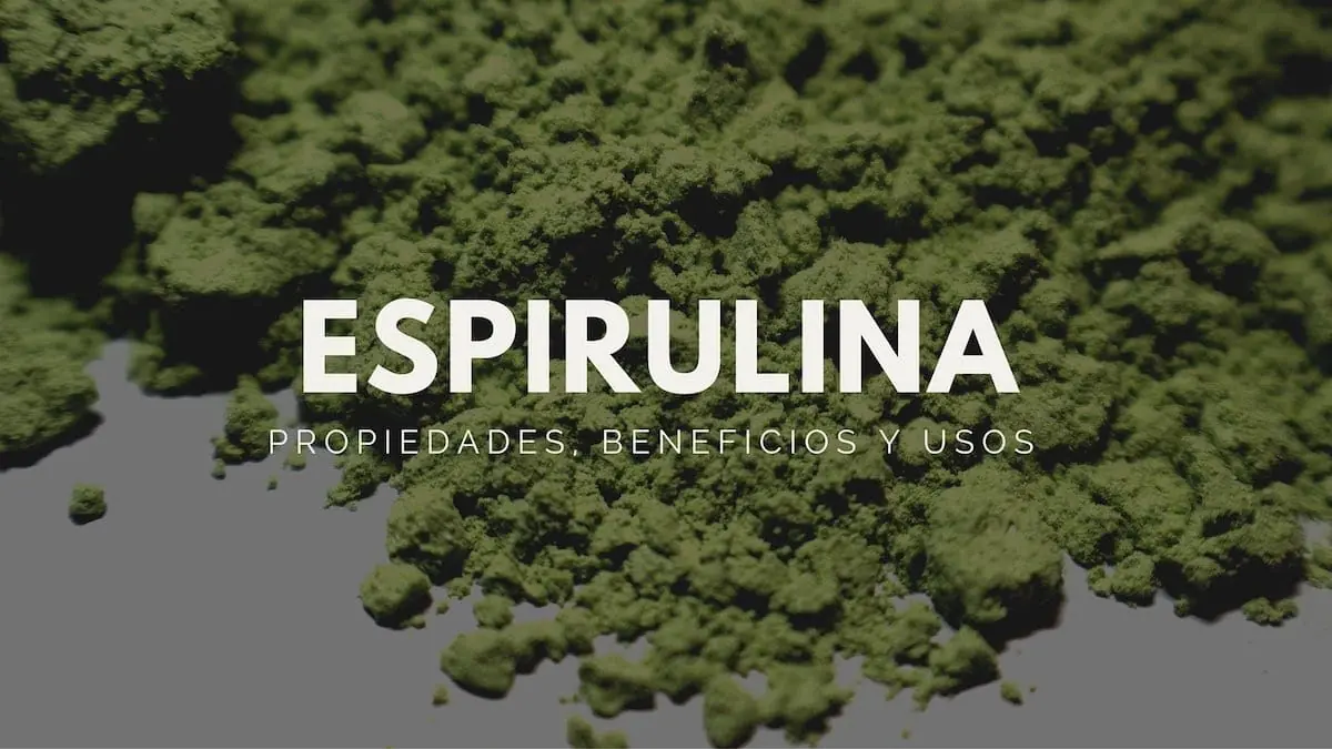 Superalimentos, la nueva apuesta para una vida más sana.