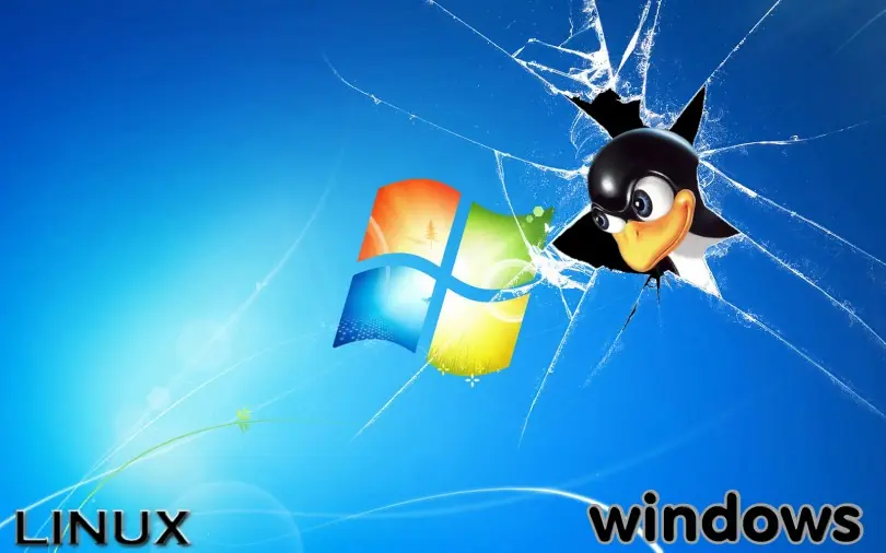 Hosting Linux o Windows: ¿cuál es el mejor para vosotros?