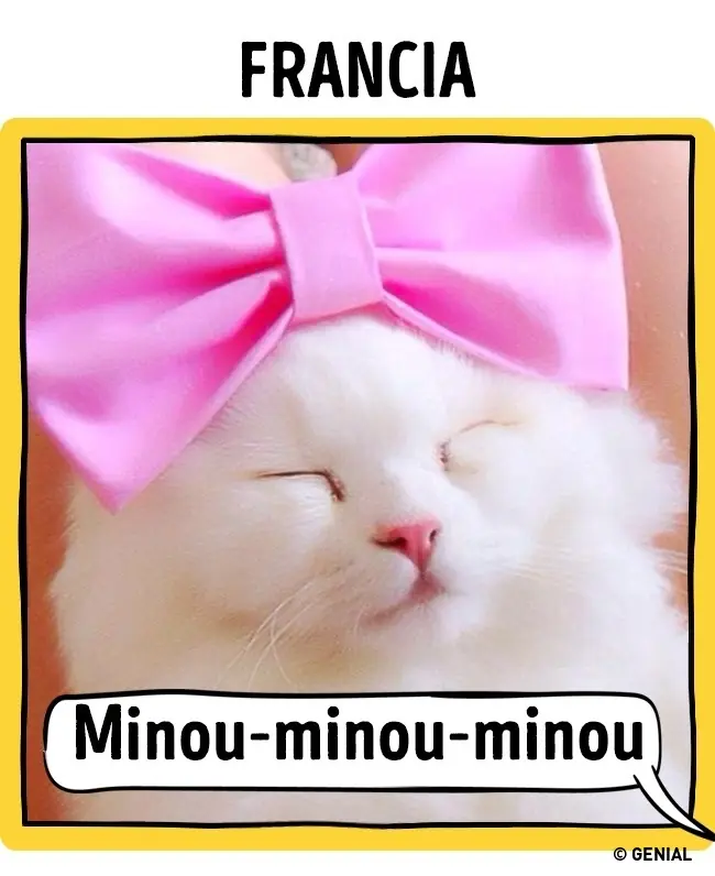 paises