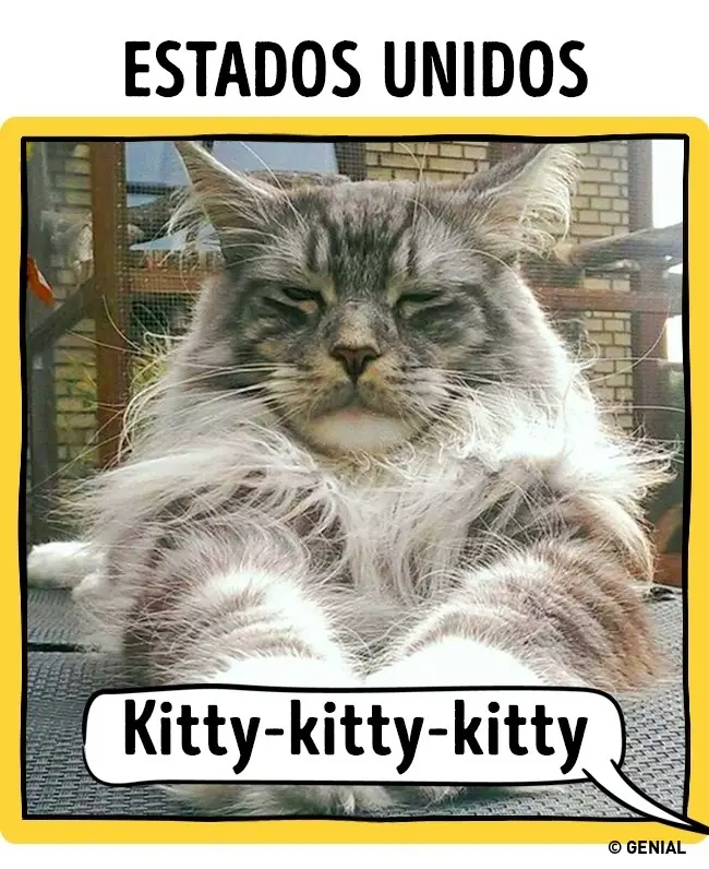 paises